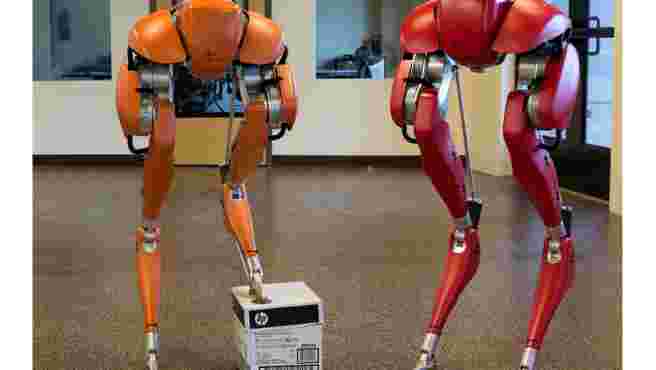 Grandes avances en el mundo androide: este robot ha aprendido a andar por sí solo
